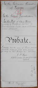 Tait Collection: Ann Wines Probate 1904