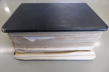 Glenleigh Fabrics Pty Ltd Minute book