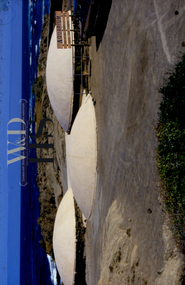 Photographic slide of Warrnambool Aquarium