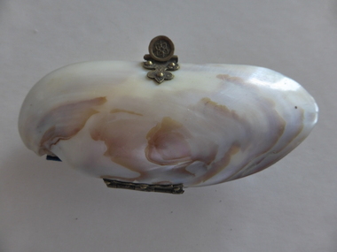 Purse Shell, Late 19th/early 20th century