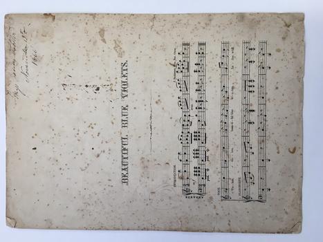 Beautiful Blue violets sheet music 
