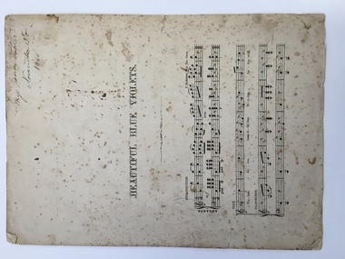 Beautiful Blue violets sheet music 