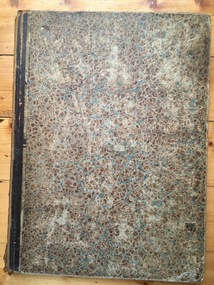 News Sheet, Newspaper Warrnambool Examiner, 1868,1869