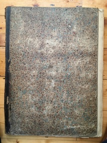 News Sheet, Newspapers Warrnambool Examiner, 1869