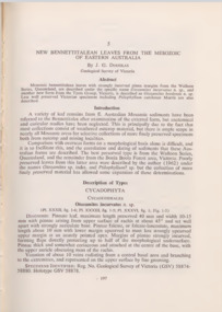 Booklet, New Bennettitalean Leaves from the Mesozoic of Eastern Australia, 1963