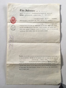 Documents, William Ardlie Archives, C 1900-1940