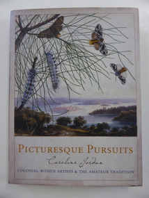 Book, Melbourne University Press, Picturesque Pursuits, 2005