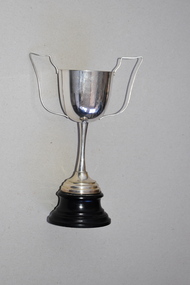 Trophy, Cricket, 1934