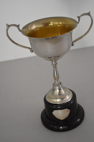 Trophy, ICISA Grand aggregate 1937, 1937