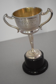Trophy, ICISA Presidents Cup 1934, 1934