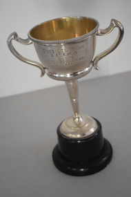 Trophy, ICISA Presidents Cup 1934, 1934