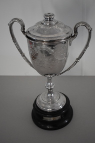 Trophy, Walker & Hall Ltd Silversmiths, Pritchard cup, 1920s