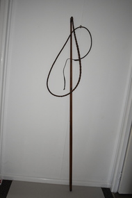 Whip, Bullock Whip, Early 20th century