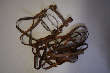 Leather straps