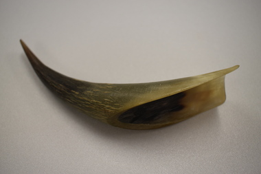 Shoehorn