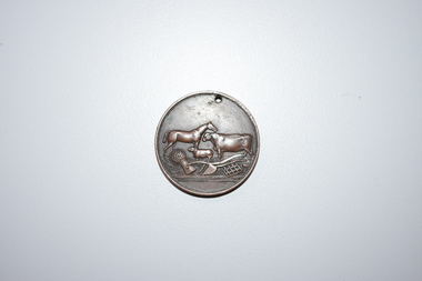Medal, Stokes and Martin, Rutledge Brothers, 1877