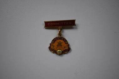 Badge, K.G.Luke, Nestles Cricket Club, 1966