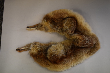 Clothing - Fox Fur Stole, early to mid 20th century