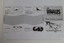 3163.4 Warrnambool whale watcher's handbook