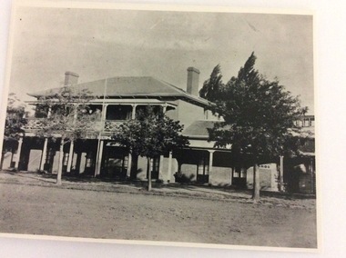 A black and white photograph, The Bridge Hotel, in 1896, showing Silky Oak trees, 1970's