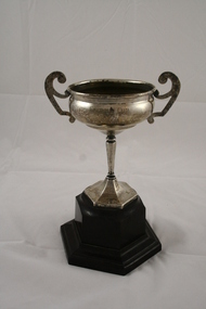 Award - Trophy Cup