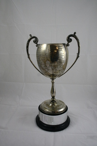 Golf Trophy