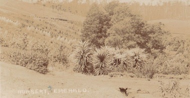 Photograph, Postcard Emerald Nursery 1909, 27.2.09