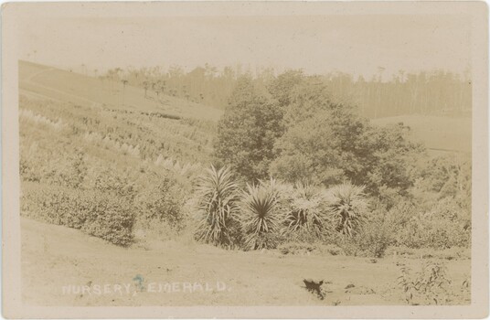 A postcard featuring a sepia photograph from a hill looking over a sprawling nursery.
