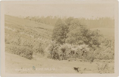 A postcard featuring a sepia photograph from a hill looking over a sprawling nursery.