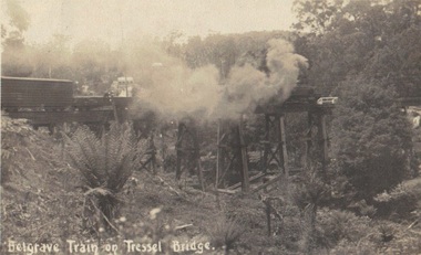 Photograph, Postcard, Belgrave Train on Trestle Bridge, 13/01/1914