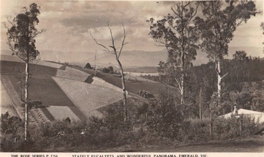 Photograph/postcard, The Rose Series P. 707 'Stately Eucalypts and Wonderful Panorama, Emerald, Vic, circa 1930's - 40's