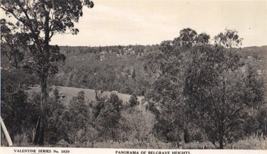 Photograph/postcard, Postcard 'Panorama of Belgrave Heights, circa 1930's - 40's