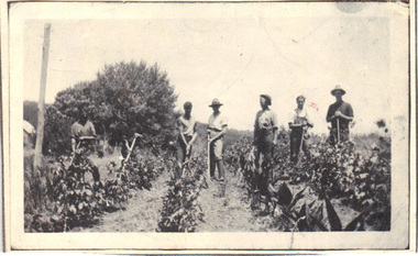 Photograph, Nightingale/Thompson Collection, c. 1930's