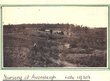Photograph, Nightingale/Thompson Collection, circa 20's