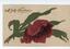 Cream postcard with singular red flower design and green leaves, and an embossed Christmas message