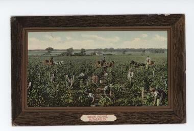 Grape pickers working in a vineyard overseen by two men sitting on horse-drawn carts with large vats. 