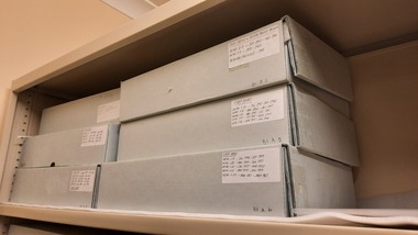 Image of labelled cardboard boxes in metal shelving.