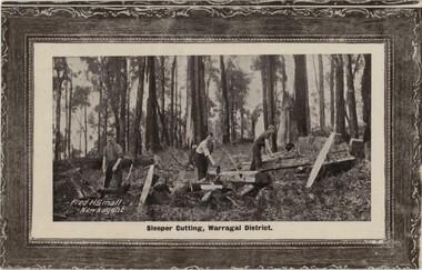 Postcard depicting black and white image of three men cutting wood in a sparse forest.