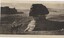 Postcard depicting a man in a robe on a camel, in front of the Great Sphinx of Giza statue.