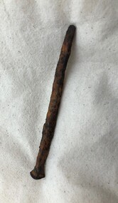 Old rusted nail