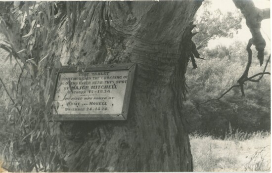 A plaque attached to a tree, and which commemorates Major Mitchell's crossing of the Ovens River in 1836.