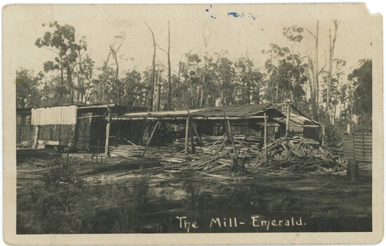 An old sawmill with piles of sawn timber on the ground and background bush