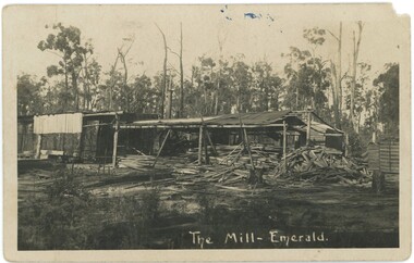 An old sawmill with piles of sawn timber on the ground and background bush