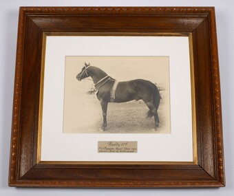 Framed photograph of a racehorse 'Reality' with some information below the picture.