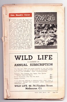 First page of Wild Life magazine with an editorial and an advertisement for a subscription to the magazine