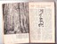 First two pages of a feature article about Emerald Lake Park in Wild Life Magazine, 1951, entitled 'Right Turn to Fairyland'