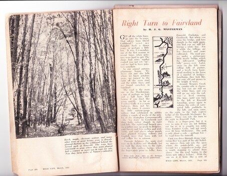 First two pages of a feature article about Emerald Lake Park in Wild Life Magazine, 1951, entitled 'Right Turn to Fairyland'