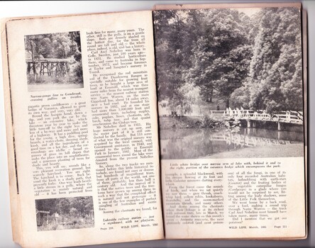 Second two pages of a feature article about Emerald Lake Park in Wild Life Magazine, 1951, showing text and photos of the trestle bridge towards Cockatoo, the footbridge over the Lake, and Lakeside railway station.