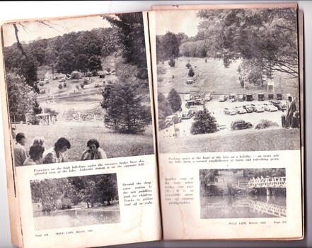 Fourth two pages of article about Emerald Lake Park in Wild Life magazine, 1951 showing four photos of Emerald Lake Park.