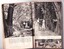 Fifth two pages of feature article about Emerald Lake Park in Wild Life magazine, 1951showing three photos of walking tracks in the Park.